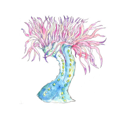水彩海洋生物图标孤立在白色剪贴画插图