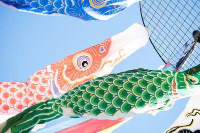鲤鱼流