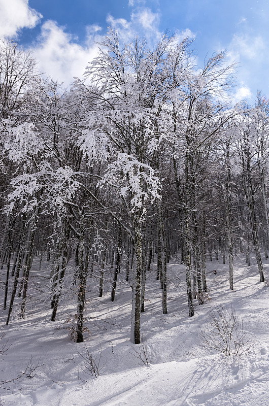 希腊佛罗里达州滑雪中心维格拉的山景