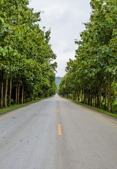 农村道路