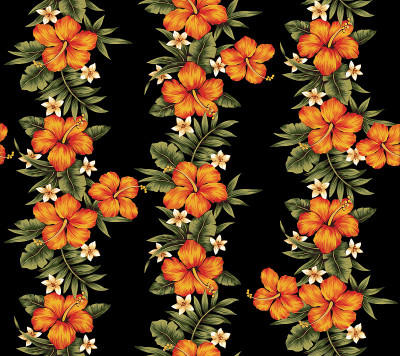 模式芙蓉