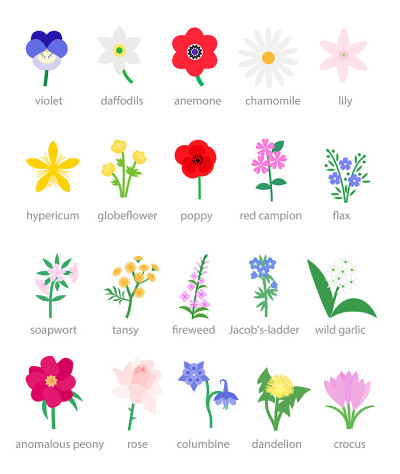 野花和花园花矢量插图