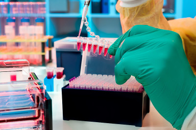 实验室的分子生物学