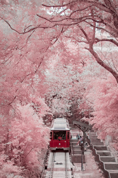 太平山顶
