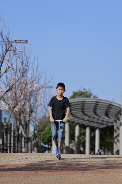 骑踏板车的日本男孩(小学五年级)