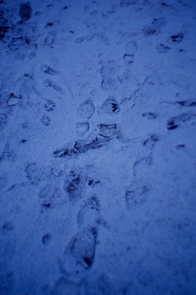 踏在雪地上