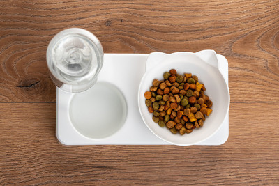 白猫食碗装着自填的水。猫用自动喂食器