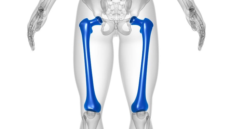 人体骨骼解剖股骨骨3D渲染