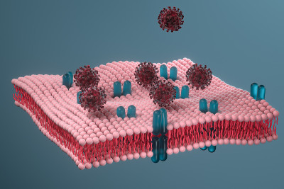 细胞膜和冠状病毒，医学概念，3d渲染。