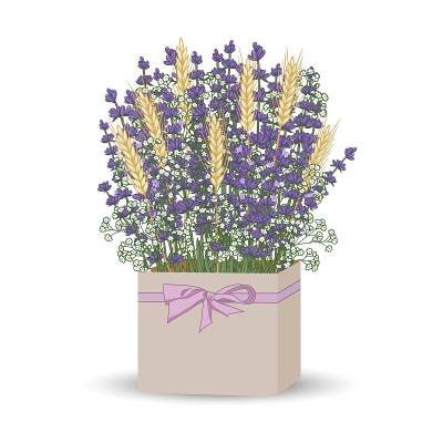 手绘花束薰衣草小麦穗和满天星在礼品盒矢量插图