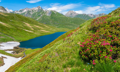 夏日下午，意大利和法国之间的小圣伯纳德山口的美丽风景。