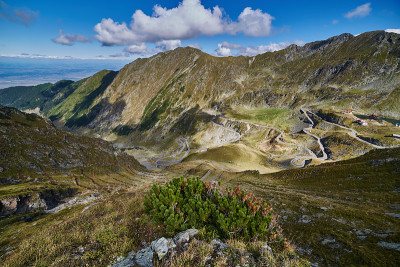 高山