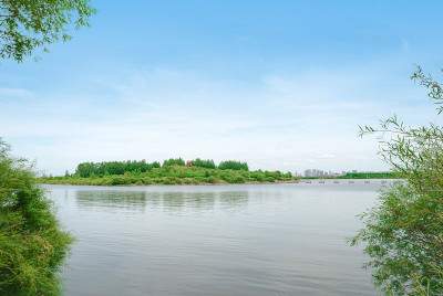 太阳岛西滩湿地公园