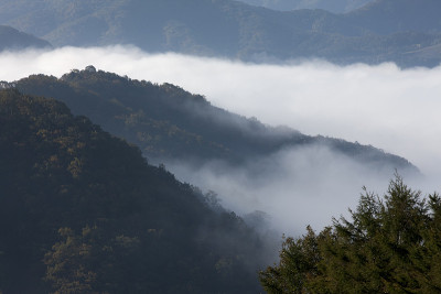 雾，山