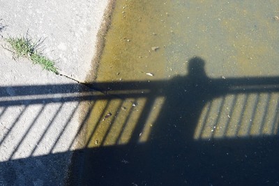 泥水上的阴影