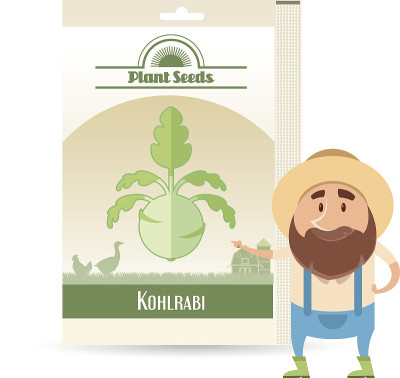 Pack of Kohlrabi seeds icon