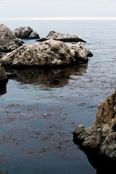 Point Lobos State Reserve