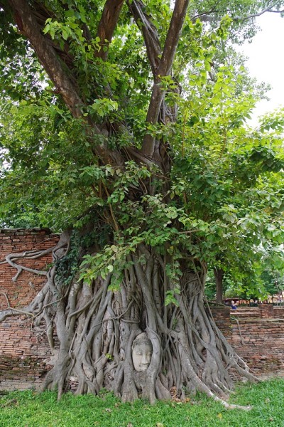 历史名城大城府