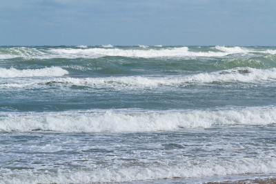 海洋