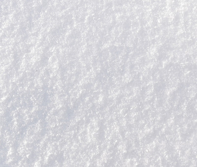 新鲜的雪