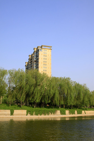 建筑物和树木在一个城市，特写照片