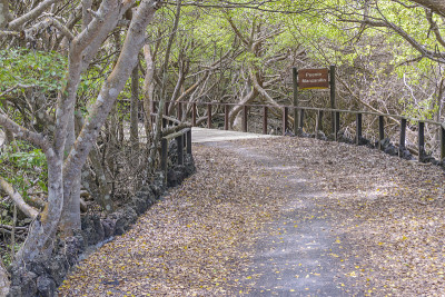 加拉帕戈斯群岛的旅游路线