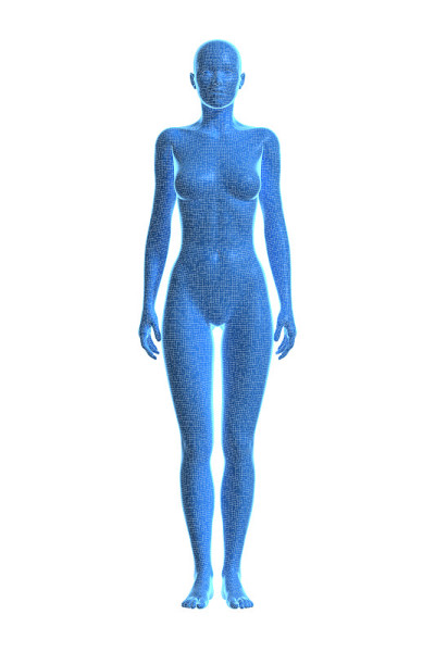 女性，人体女性，3D