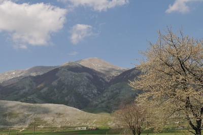 马森山全景