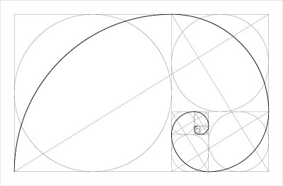 黄金比例几何概念。斐波那契螺旋。矢量插图。