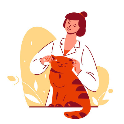 女医生兽医清洁愈合猫耳朵。为宠物梳理毛发。矢量插图在平面卡通风格。