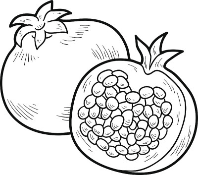 填色书:水果蔬菜(石榴)