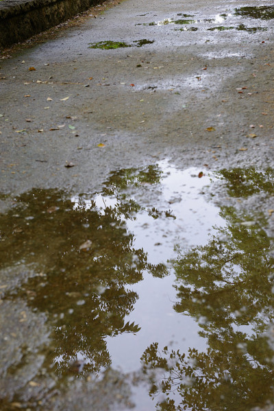 雨