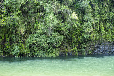veadeiros的Chapada dos veadeiros