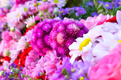 混合鲜花花环