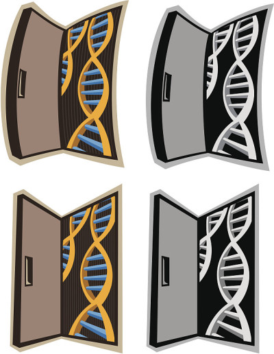 门DNA