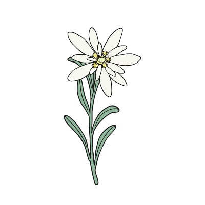 雪绒花花。山工厂。手绘矢量插图素描风格。