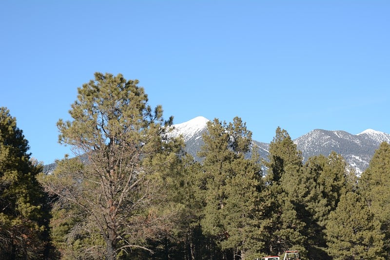 在弗拉格斯塔夫，旧金山的山峰上满是雪