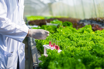 科学家测试溶液，化学检查，在有机水培农场检查新鲜程度。