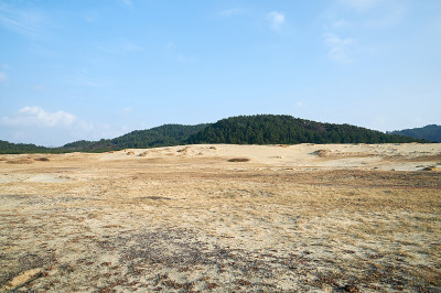 新都里海岸沙丘