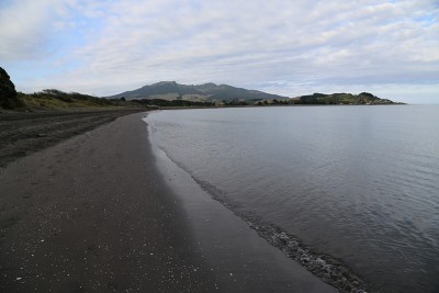 海滩的侧视图。