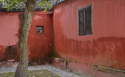 树与红墙