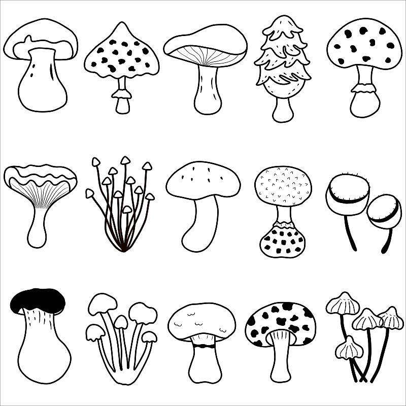 可爱的真菌载体蘑菇着色。一套涂鸦插图孤立在白色背景