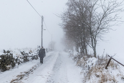 雪覆盖了道路