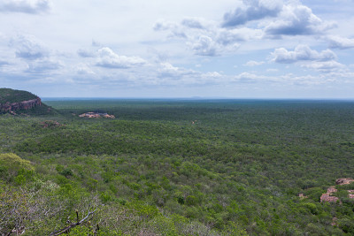 卡皮维拉Serra da Capivara的多叶Catinga
