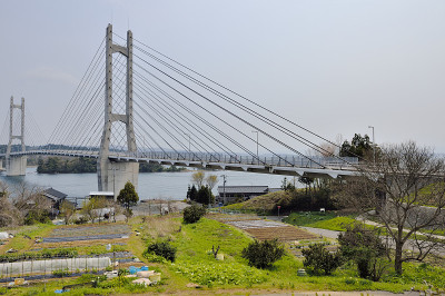 中户农场公路桥
