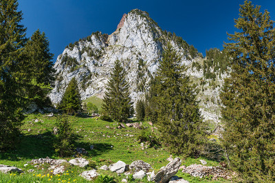 Brunni-Holzegg-Müsliegg Mythen地区的步道