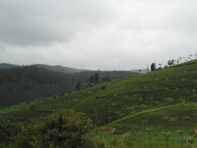 山腰