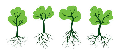 树的形状图标与绿色的叶子。矢量插图轮廓。植物在花园。