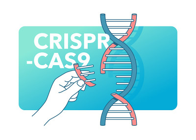 CRISPR Cas9 -基因编辑系统横幅