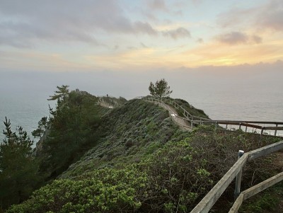 缪尔海滩忽视